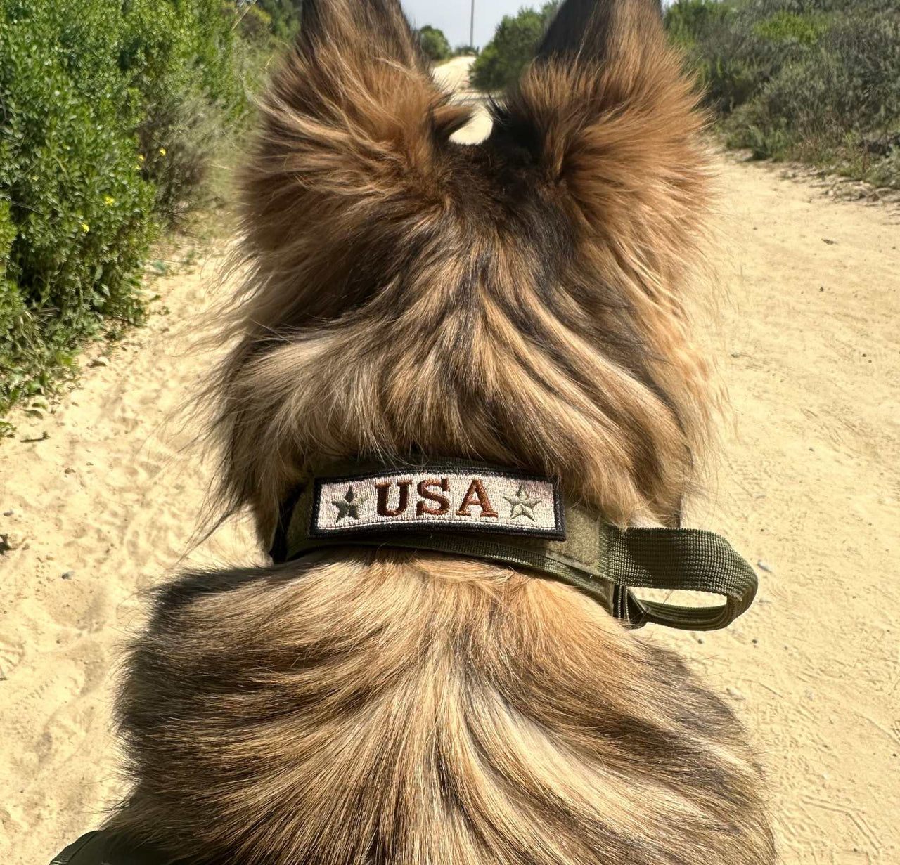 Tactical Dog Harness, Collar & Leash Combo | Heavy Duty Set Made For Medium and Large Breeds