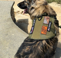 Thumbnail for Tactical Dog Harness, Collar & Leash Combo | Heavy Duty Set Made For Medium and Large Breeds