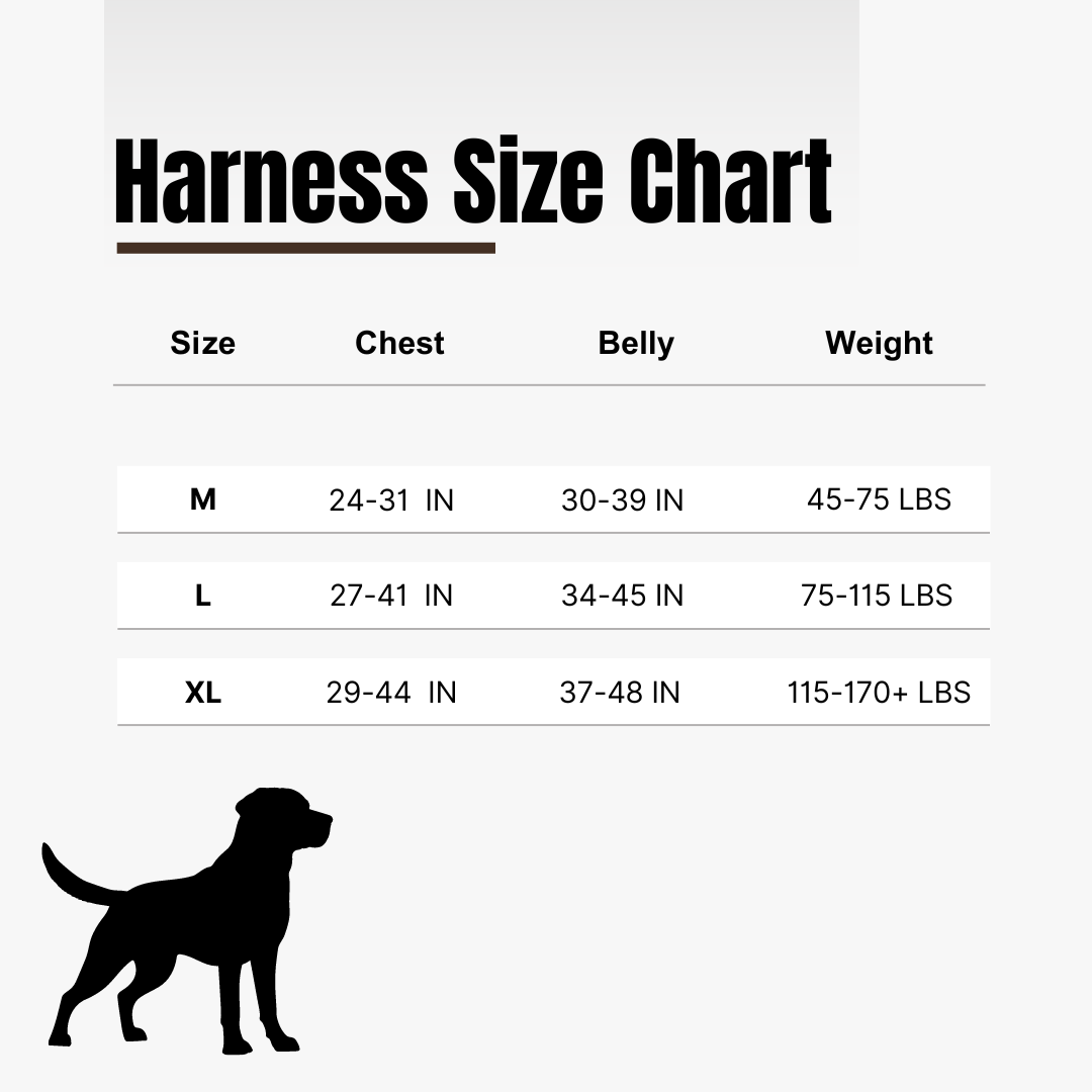 Tactical Harness, Tracking Tag Compatible Collar & Dog Leash Combo | Durable Construction Army Style Gear Set