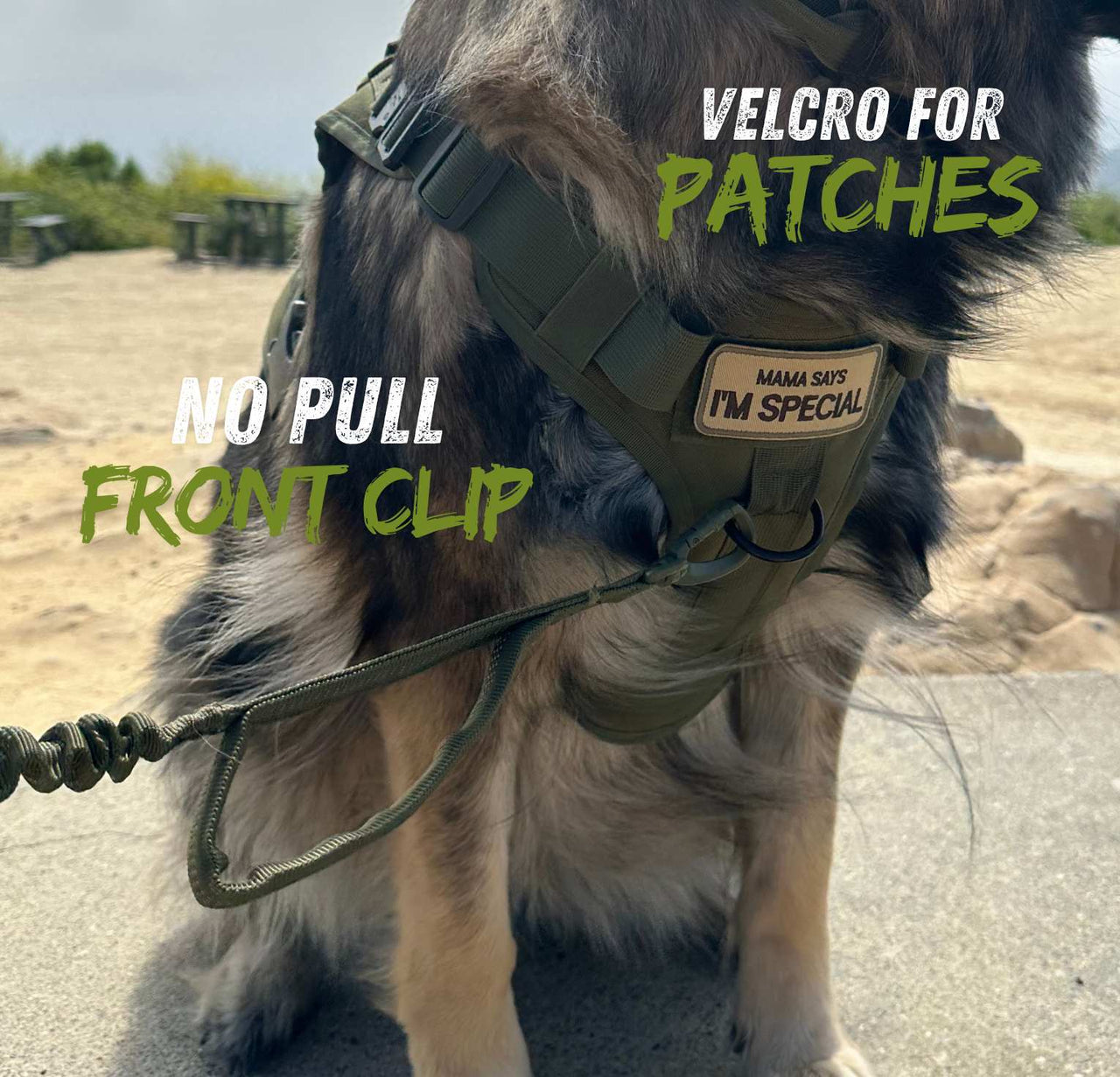 Tactical Harness, Tracking Tag Compatible Collar & Dog Leash Combo | Durable Construction Army Style Gear Set