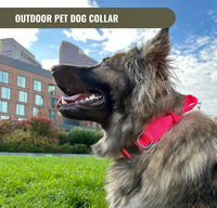 Thumbnail for Tactical Dog Collar & Leash Combo | Collar With Handle and Bungee Leash Set
