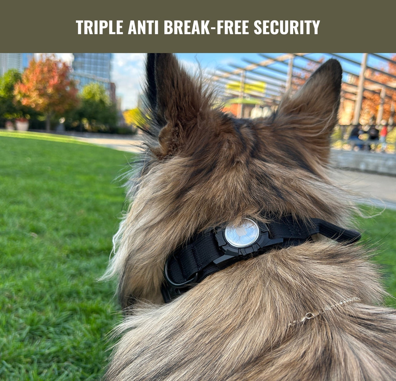 Tactical Harness, Tracking Tag Compatible Collar & Dog Leash Combo | Durable Construction Army Style Gear Set