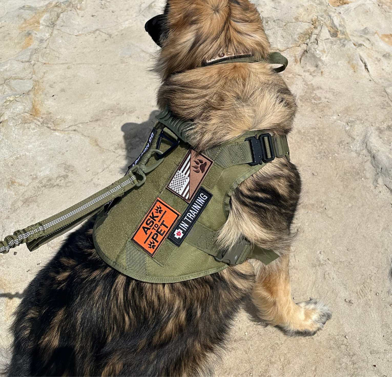Tactical Harness, Tracking Tag Compatible Collar & Dog Leash Combo | Durable Construction Army Style Gear Set