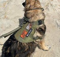 Thumbnail for Tactical Harness, Tracking Tag Compatible Collar & Dog Leash Combo | Durable Construction Army Style Gear Set