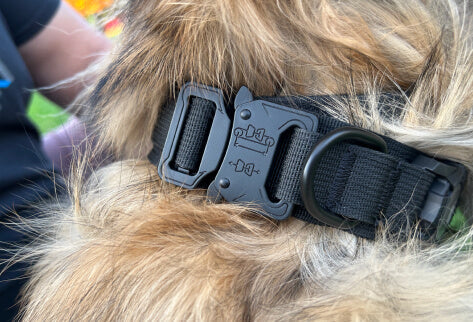 Tactical Dog Collar & Leash Combo | Collar With Handle and Bungee Leash Set
