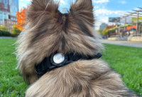 Thumbnail for Tactical Tracking Tag Compatible Dog Collar & Leash Combo | Tracking Compatible Collar and Tactical Leash Set