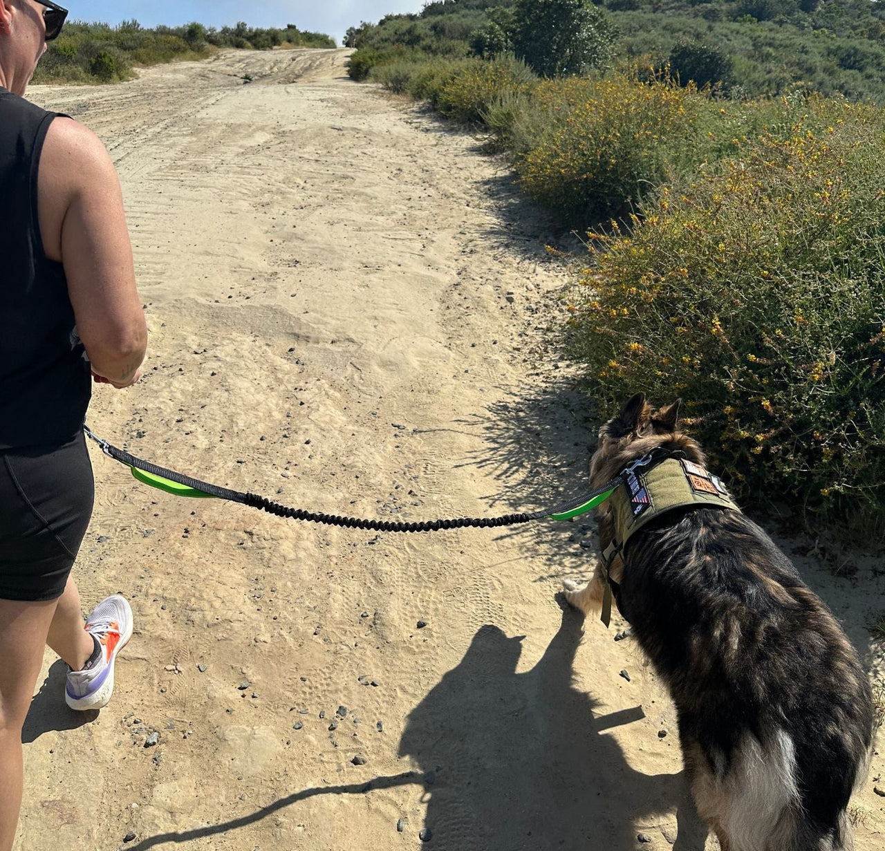 Hands Free Running Dog Leash with Dual Handles | Waist Belt, Pack and Bungee Leash