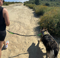 Thumbnail for Hands Free Running Dog Leash with Dual Handles | Waist Belt, Pack and Bungee Leash
