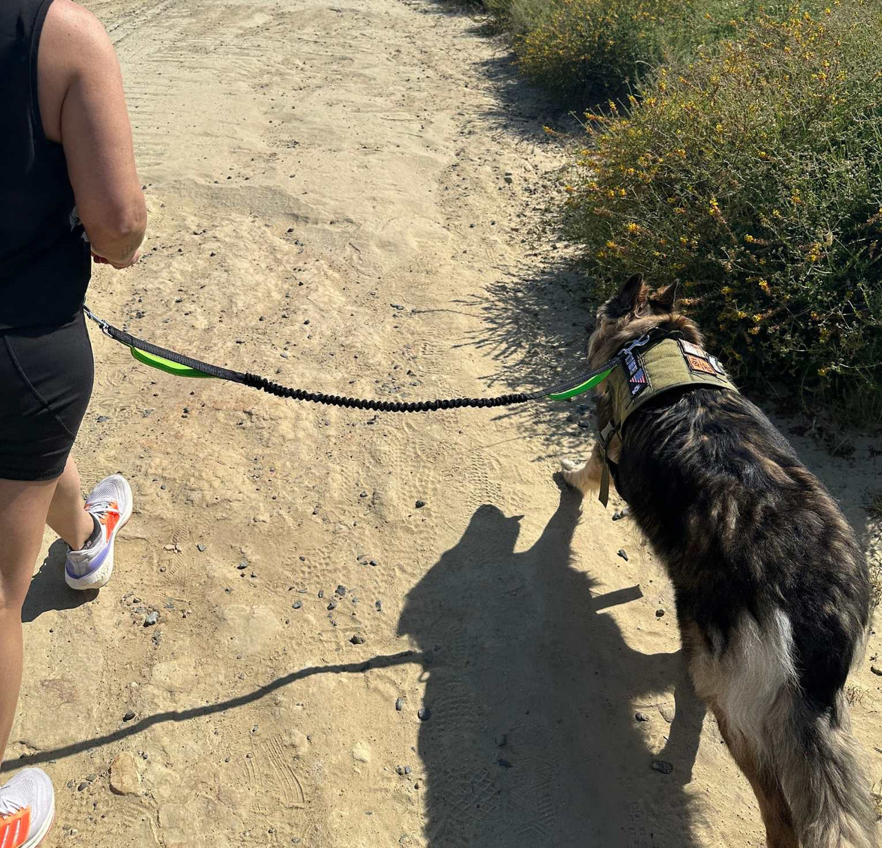 Hands Free Running Dog Leash with Dual Handles | Waist Belt, Pack and Bungee Leash