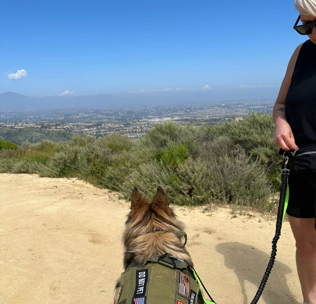 Hands Free Running Dog Leash with Dual Handles | Waist Belt, Pack and Bungee Leash