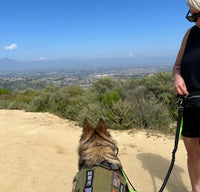 Thumbnail for Hands Free Running Dog Leash with Dual Handles | Waist Belt, Pack and Bungee Leash