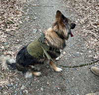 Thumbnail for Tactical Dog Harness, Collar & Leash Combo | Heavy Duty Set Made For Medium and Large Breeds