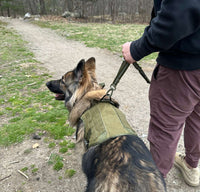 Thumbnail for Tactical Dog Harness, Collar & Leash Combo | Heavy Duty Set Made For Medium and Large Breeds