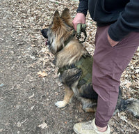 Thumbnail for Tactical Dog Harness | Heavy Duty for Medium and Large Breeds | With No Pull Front Ring and MOLLE System
