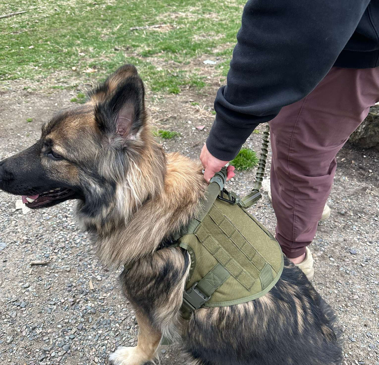 Tactical Harness, Tracking Tag Compatible Collar & Dog Leash Combo | Durable Construction Army Style Gear Set