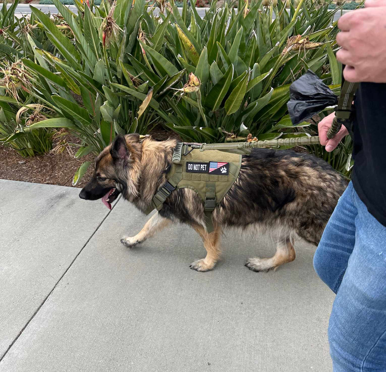 Tactical Dog Harness & Leash Combo | K-9 Army Style Vest and Tactical Dual Handle Leash
