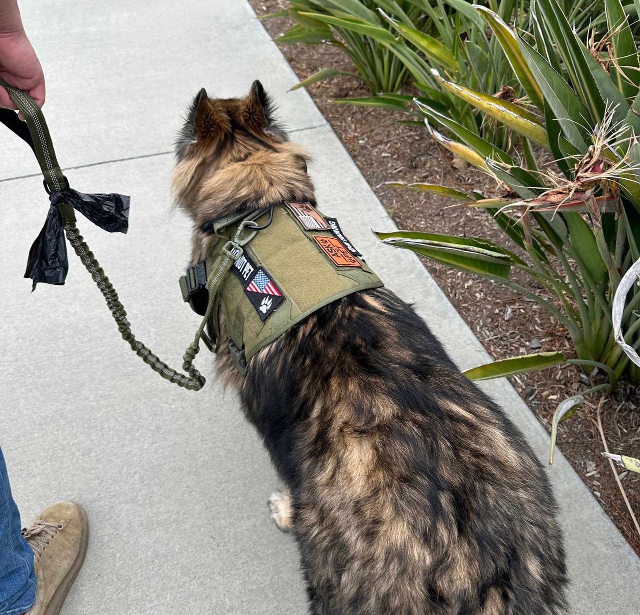 Tactical Harness, Tracking Tag Compatible Collar & Dog Leash Combo | Durable Construction Army Style Gear Set