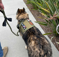 Thumbnail for Tactical Harness, Tracking Tag Compatible Collar & Dog Leash Combo | Durable Construction Army Style Gear Set