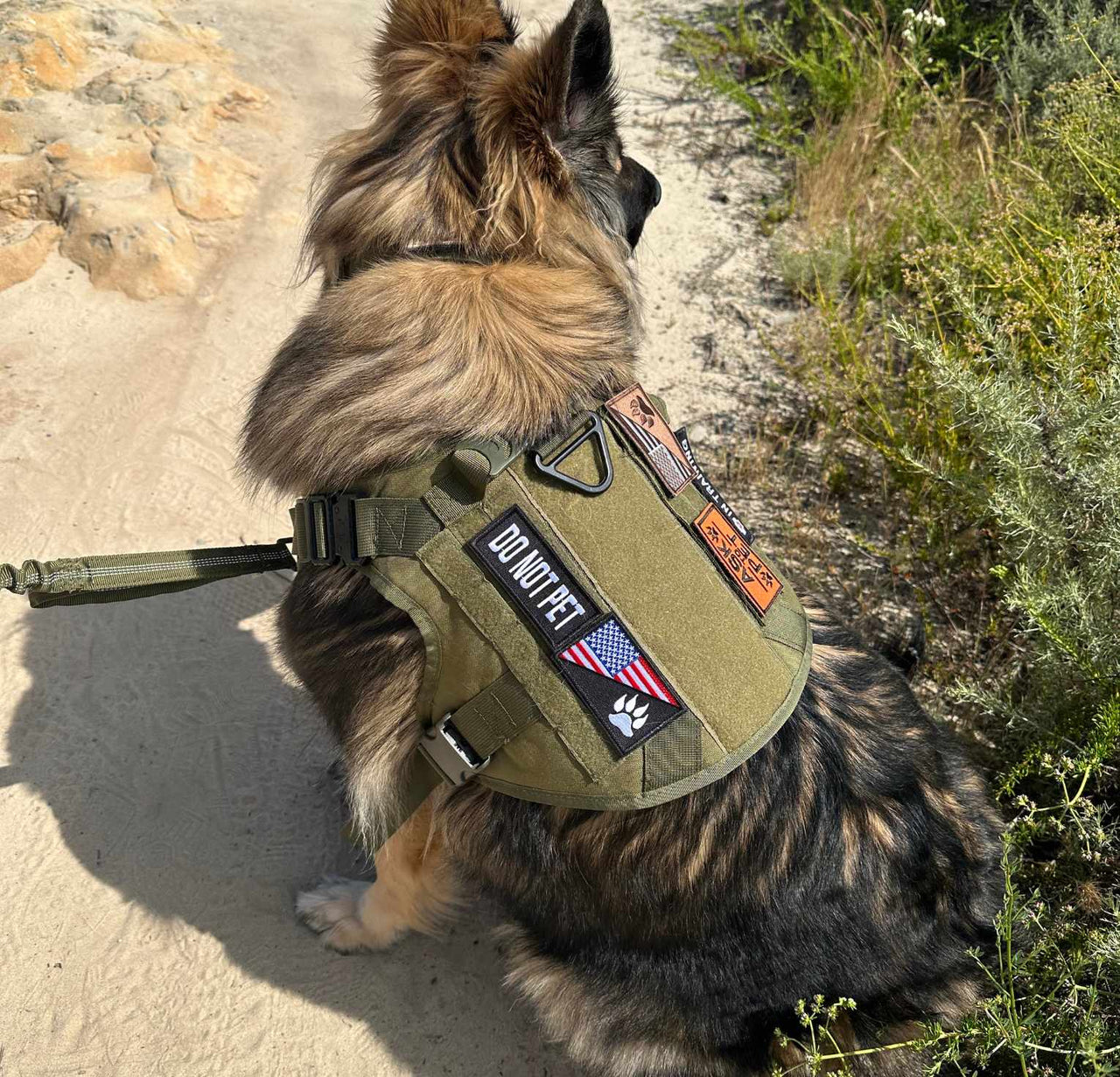 Tactical Harness, Tracking Tag Compatible Collar & Dog Leash Combo | Durable Construction Army Style Gear Set