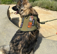 Thumbnail for Tactical Dog Harness, Collar & Leash Combo | Heavy Duty Set Made For Medium and Large Breeds